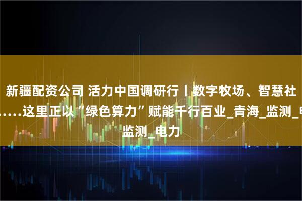 新疆配资公司 活力中国调研行丨数字牧场、智慧社区……这里正以“绿色算力”赋能千行百业_青海_监测_电力