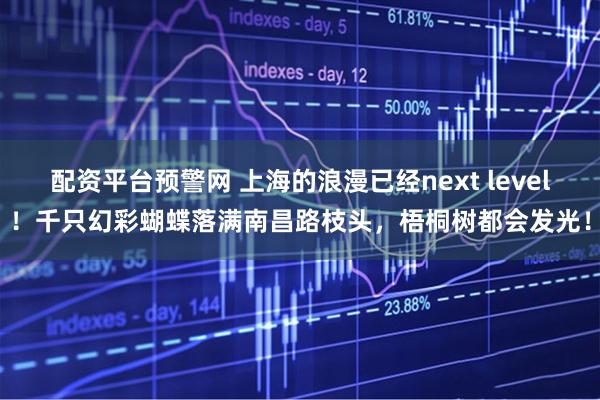 配资平台预警网 上海的浪漫已经next level！千只幻彩蝴蝶落满南昌路枝头，梧桐树都会发光！