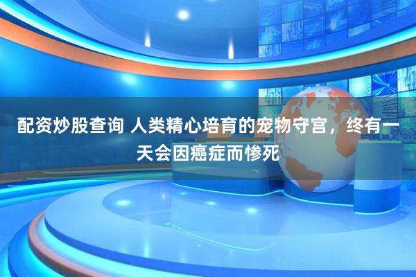 配资炒股查询 人类精心培育的宠物守宫，终有一天会因癌症而惨死